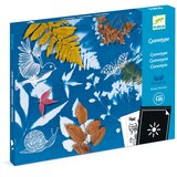 Djeco Kreativni začetni komplet – cianotipija | Shoptok.si