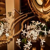 Dolce & Gabbana The One Gold Intense parfemska voda za žene 50 ml | shoptok.hr