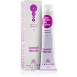 Kallos Farba za kosu, 90.02 violet blond, 100 ml Cene