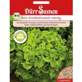 Dürr Samen BIO ekološka solata Hardy zelena Cene