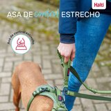 Povodac za pse Company of Animals Turkizno L | shoptok.hr