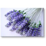  Slike na platnu cveće (moderne slike na platnu) | ePonuda.com