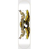 Antihero Team Classic Eagle 8.75" Skateboard deska white | Shoptok.si