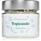 Tropicandle Blooming Jasmine dišeča sveča 150 ml | Shoptok.si