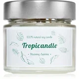 Blooming Jasmine dišeča sveča 150 ml