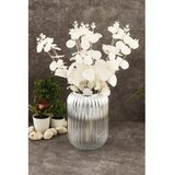 WALLXPERT vaza staklena line D20K u