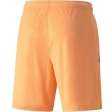 Puma Hlače 3/4, 7/8 Teamliga Oranžna | Shoptok.si