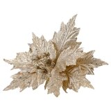 Festa Blossom, novogodišnji cvet, šampanjac, 33cm | ePonuda.com