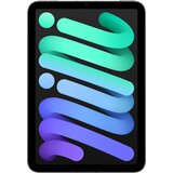 Apple Grey-iPad mini Cellular 256 GB MXPT3HC/A | ePonuda.com