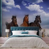  Foto tapeta - Horses in the Snow 300x210 Premium | shoptok.hr