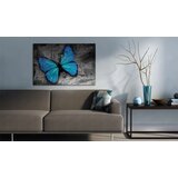  Slika - The study of butterfly 90x60 | shoptok.hr