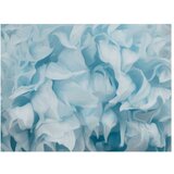  Tapeta - Azalea (blue) 300x231 | shoptok.hr