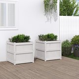 Maison Chic Vrtno cvetlično korito - Cvetlični Lonec 2 kosa bela trdna borovina, (21790598) | Shoptok.si