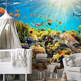  Foto tapeta - Underwater Land 350x256 | shoptok.hr