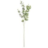  GRANA EUKALIPTUSA 93CM PVC BIZZOTTO Cijene