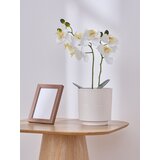 Sinsay Keramička tegla | shoptok.hr