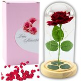  Vječna ruža u staklenoj kupoli led rasvjeta crvena 21x11cm | shoptok.hr
