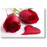  Slike na platnu cveće (moderne slike na platnu) | ePonuda.com