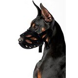 INF Nastavljiva pasja nagobčnica: proti grizenju, lajanju, zračna in udobna Black 3, (5000125302) | Shoptok.si