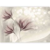  Foto tapeta - Luminous Morning 245x175 | shoptok.hr