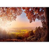 Artgeist Fototapeta Autumn Delight, 250x175cm | Shoptok.si
