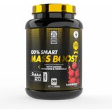 100% SMART MASS BOOST - 3000G - Raspberry | shoptok.hr