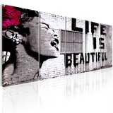  Slika - Banksy: Life is Beautiful 225x90 | shoptok.hr