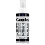 Delia Cosmetics Cameleo Spray & Go tonirano pršilo za lase odtenek Silver 150 ml