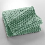 Douceur d intérieur Svetlo zelena odeja iz mikroflanele 125x150 cm Mini Frosty – Cene
