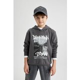 Defacto Boy's Hooded Printed Thick Sweatshirt Cene