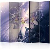  Paravan u 5 dijelova - Wintry Galaxy II [Room Dividers] 225x172 Cijene