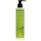 Académie Scientifique de Beauté Pure globoko čistilni gel za mastno kožo 200 ml Cene