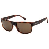 Fossil naočale FOS 3148/S Tortoise | shoptok.hr