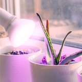  LED sijalica za rast biljaka PLANTY E27/7W/230V 1200K bela | Eponuda.com