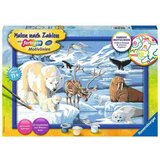 Ravensburger barvanje po številkah živali na arktiki 28909 Cene