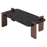 Hanah home Crni stolić za kavu 60x120 cm Renard – | shoptok.hr