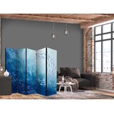  Paravan - Schools of Fish - Luminous Clusters of Fish in Blue Colors Among Sea Depths 225x172 Akustični | shoptok.hr