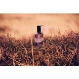 Scottish Fine Soaps Wild Heather Hand Wash tekući sapun s pumpicom 300 ml | shoptok.hr