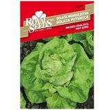  Salata Majska Kraljica Royal Seeds Cijene