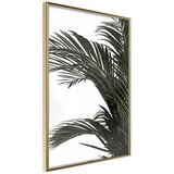  Poster - Jungle Scent 30x45 Cijene