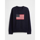 GAP Children's sweater Americana - Boys Cene