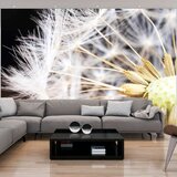  Tapeta - Fluffy dandelion 300x210 | shoptok.hr