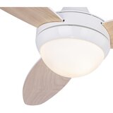 Globo 03612 - Plafonski ventilator CORDULA 2xE14/40W/230V + upravljanje | Eponuda.com