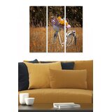 Wallity Set slika MDF3522238, 3 dijela | Eponuda.ba