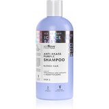 SoFlow Cooling vijoličen šampon za nevtralizacijo rumenih odtenkov 300 ml | Shoptok.si