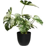House Nordic Umjetna biljka (visina 41 cm) Monstera – Cijene