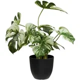 Umjetna biljka (visina 41 cm) Monstera –