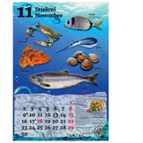  KALENDAR "RIBARNICA 2026" 13 LISTOV, SPIRALA | Shoptok.si