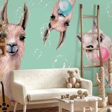  Foto tapeta - Crazy Llamas 300x210 Vodootporna | shoptok.hr
