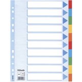 Pregrada KARTONSKA A4 KOLOR 10LISTOVA ESSELTE 100193 | Shoptok.si
